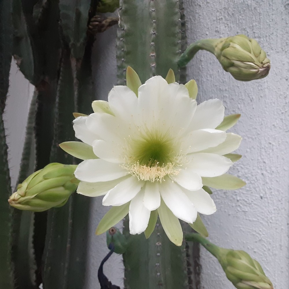 Meet your Posher, Ellie